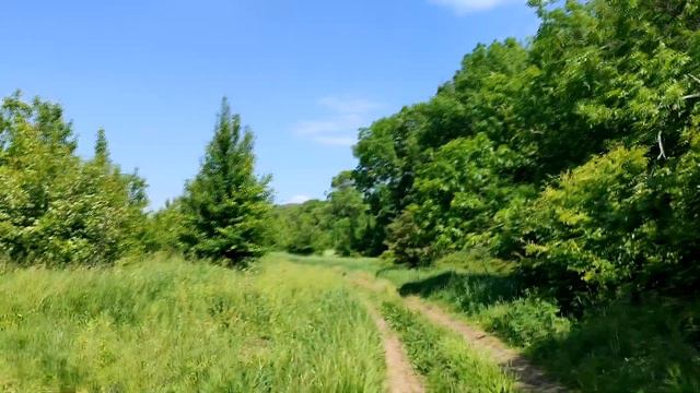 Вы и ваша небесная семья: самое глубокое родство смотреть онлайн