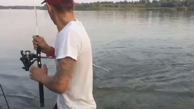 Ловля Карпа на реке Дон в Аксай смотреть онлайн
