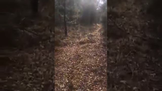 История моего рода. смотреть онлайн