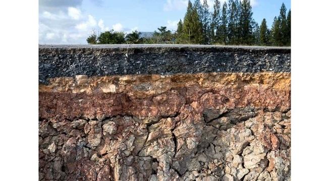 Окружающий мир. 1 класс. Почему мы часто слышим слово "Экология" смотреть онлайн