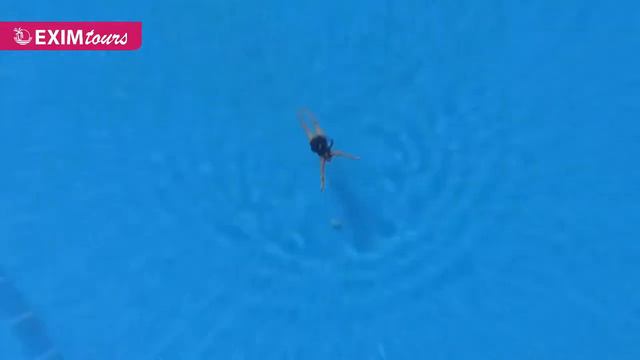 Pickalbatros Royal Moderna