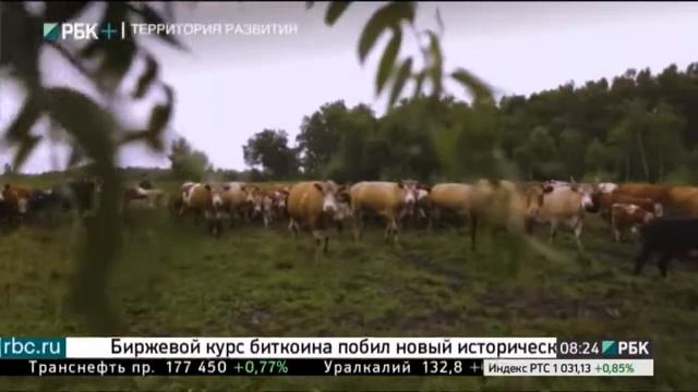 Территория развития. Дальний Восток. Амурская область смотреть онлайн