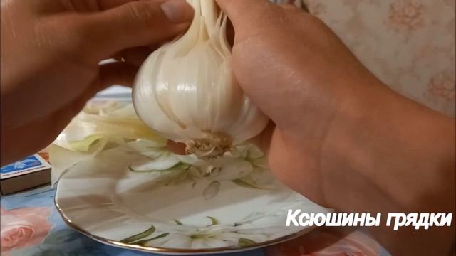 Рокамболь 2021. Месяц до уборки смотреть онлайн