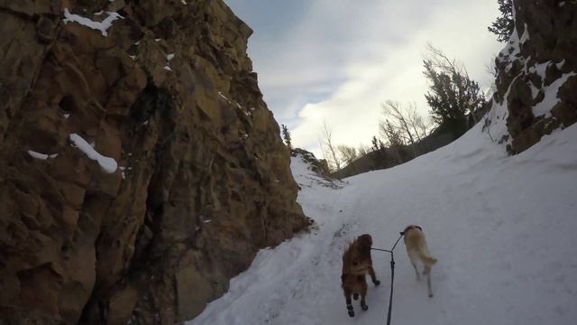 skijoring смотреть онлайн