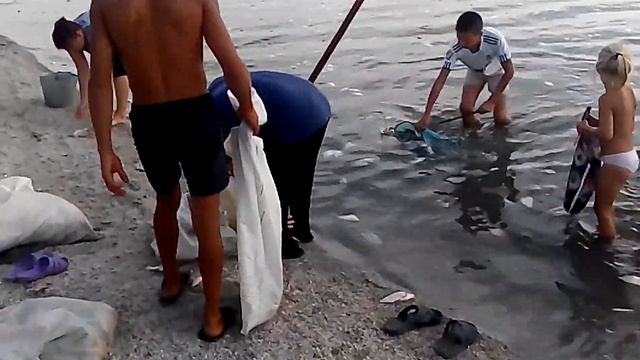 МОР РИБИ (Херсонська обл, Білозерський р-н, с. Олександрівка) смотреть онлайн