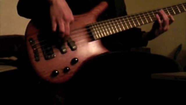 Slap Bass Warwick Thumb
