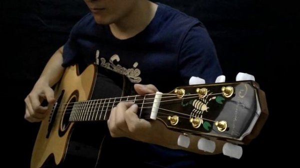Croatian Rhapsody-Wen Bin fingerstyle guitar