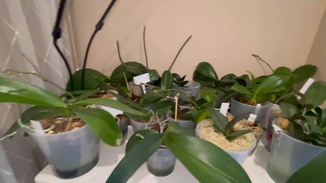 Посылка, новинка , подарок и небольшой обзор.