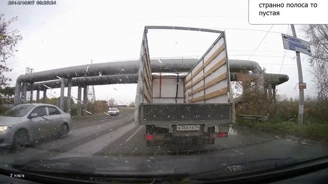 Газель в луже