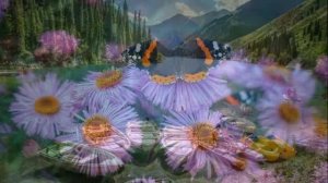 Экхарт Толле - 03. Как найти баланс, озвучивает [Nikosho].mp4