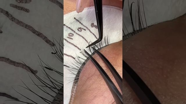 HOW TO GROW YOUR LASH SOCIAL MEDIA смотреть онлайн