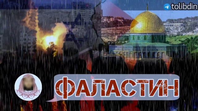 ПАЛЕСТИН. АБУ МУҲАММАД МАДАНИ