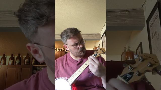 Hallelujah - Leonard Cohen (Banjolele Cover '22) смотреть онлайн