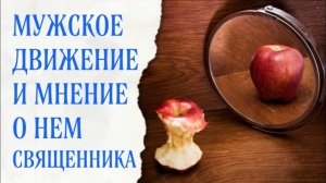 Про т.н. «мужское движение» (мое мнение)