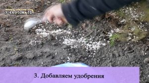 Уход за Хвойными Весной - Чем и Когда ПОДКОРМИТЬ ТУЮ ВЕСНОЙ - ОБРАБОТКА ТУИ ОТ ВРЕДИТЕЛЕЙ и БОЛЕЗНЕ