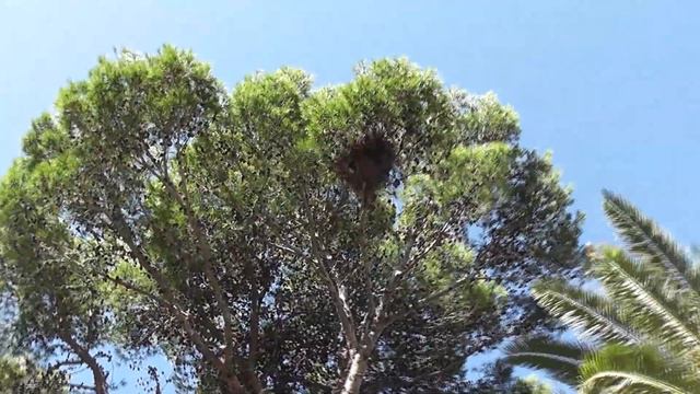 Cadiz .mov смотреть онлайн