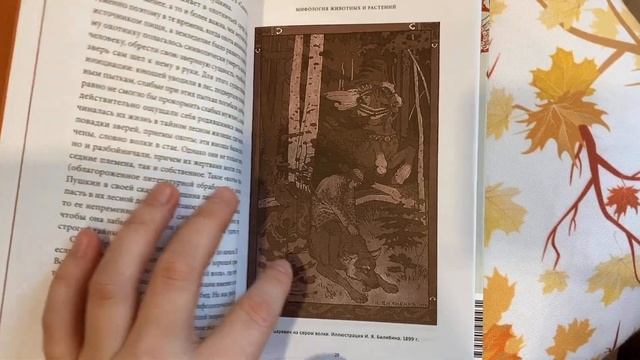 КНИЖНЫЕ ПОКУПКИ смотреть онлайн
