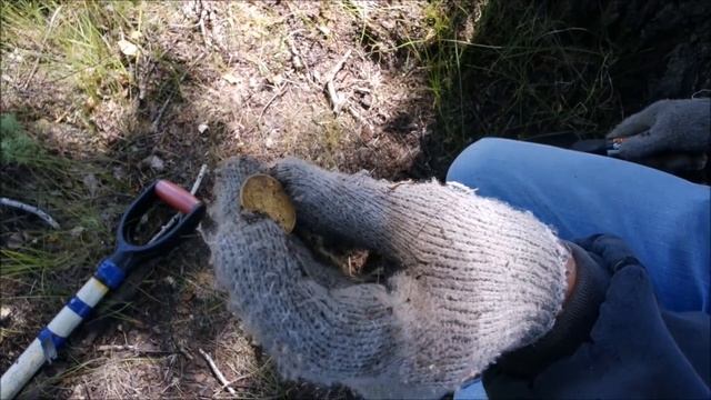 Вот это покопал! Монеты поперли, как из копилки! Мега удачный поиск! Я в шоке! смотреть онлайн