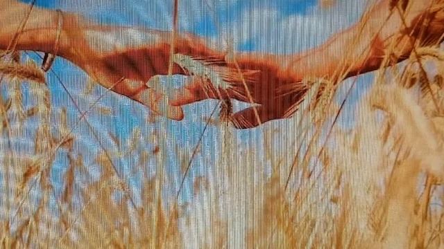 Лето это маленькая жизнь... смотреть онлайн