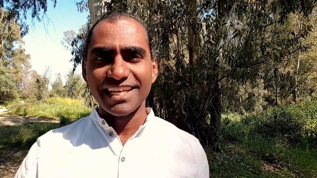 Meditate Like the Masters: 7 Weeks Healing & Chakra Enlightening Program by Ajan Yogi смотреть онлайн