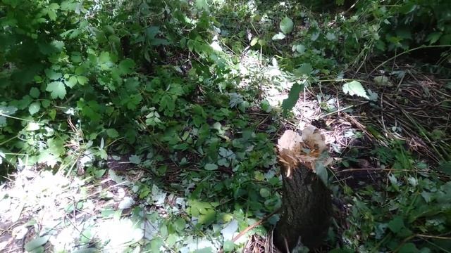 Про быдлоту в 404 палате смотреть онлайн