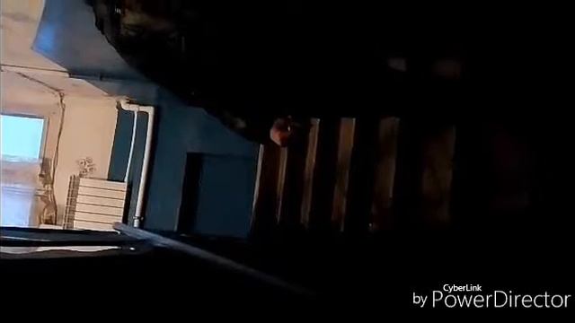 Во время вышел по гулять всё закончилось хорошо даже весело смотреть онлайн