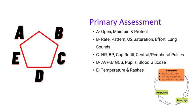 Pediatric Advanced Life Support (PALS) Systematic Approach смотреть онлайн