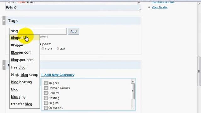 How to Tag Your Blog Posts in WordPress 2.5 смотреть онлайн