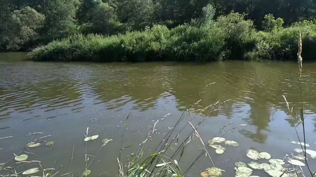 ловим на кастинговую сеть поймали щуку ура. смотреть онлайн
