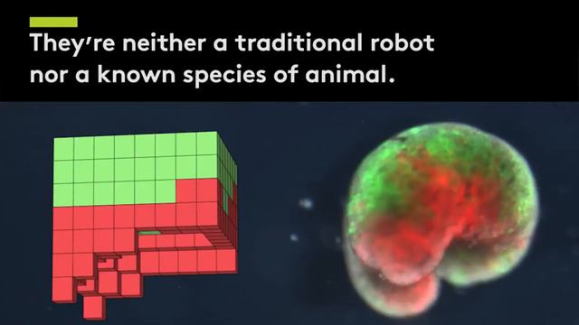 PROИзобретения | Выпуск пилотный смотреть онлайн