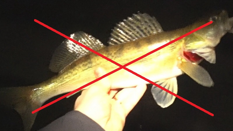 Безрыбная прогулка по МР 18 февраля. Разговорчики в темноте.