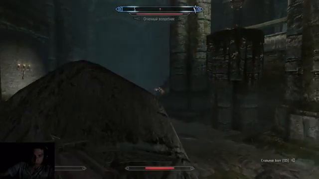 [Ep.8] Skyrim. Сюжетка. Роза Сангвина. Лучница Анга. Псиджики в Коллегии. смотреть онлайн