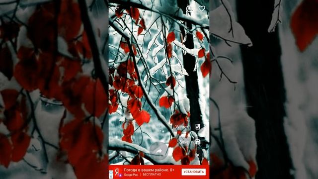 Как поставить обои с помощью 4K Wallpapers смотреть онлайн