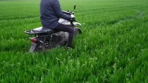 Поставили кроссовую резину на альфу // Мустанг динго // Месим грязь в болоте