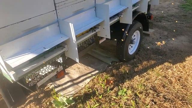 ОСЫ НА ПАСЕКЕ, МЕРОПРИЯТИЕ ЗАЩИТЫ. смотреть онлайн