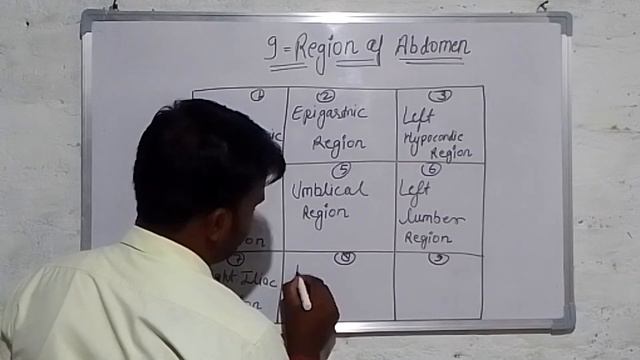 9 Region of Abdomen Part 1 смотреть онлайн