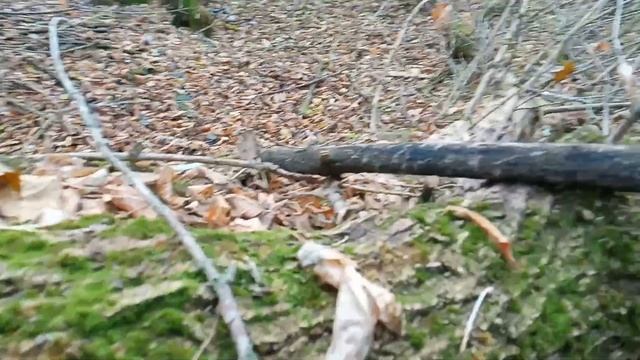 Йшов по зимовий опеньок, натрапив на гливи смотреть онлайн