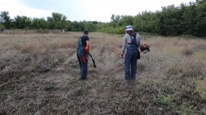 Заруба триммеров! Какой триммер лучше электрический или бензиновый? Carver против Парма. Обзор/Тест