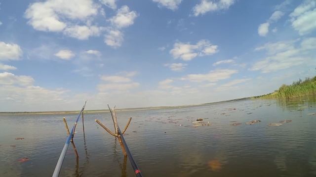 Весенняя Рыбалка/В Запрет/Ловля Карася смотреть онлайн