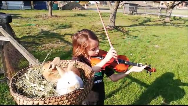 Kinderlieder Konzert смотреть онлайн