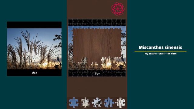 [Jigsaw puzzles] My puzzles - Miscanthus sinensis - 144 piece смотреть онлайн