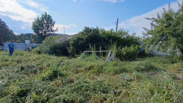 video5368661252589508732