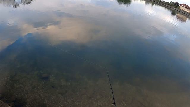 Рудра лучший цвет