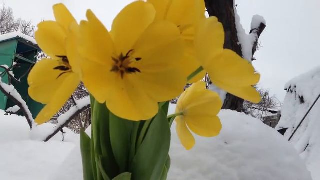 8 марта 2013 года алматы смотреть онлайн