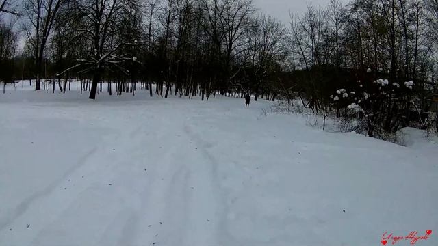 Прогулка к зимнему парку Н Вильни смотреть онлайн