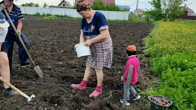 🥔ЧУВАШИЯ 03.06.2022 👩🌾Картошку посадили смотреть онлайн