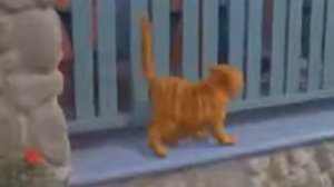 Песня Эй толстый