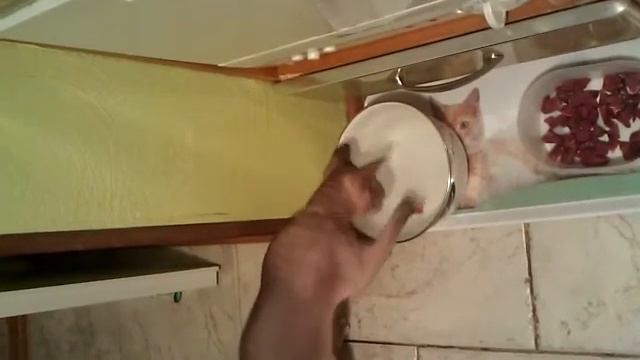 игровые виды мяса смотреть онлайн
