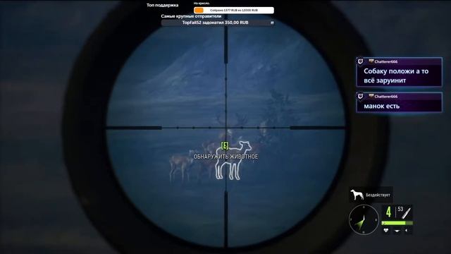 theHunter: Call of the Wild. Новая локация Te Awaroa National Park. #9 смотреть онлайн