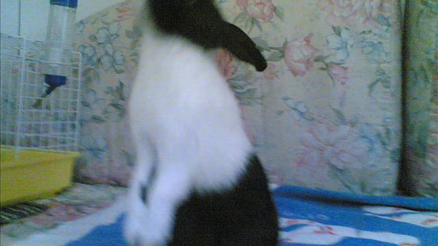 mix foto смотреть онлайн